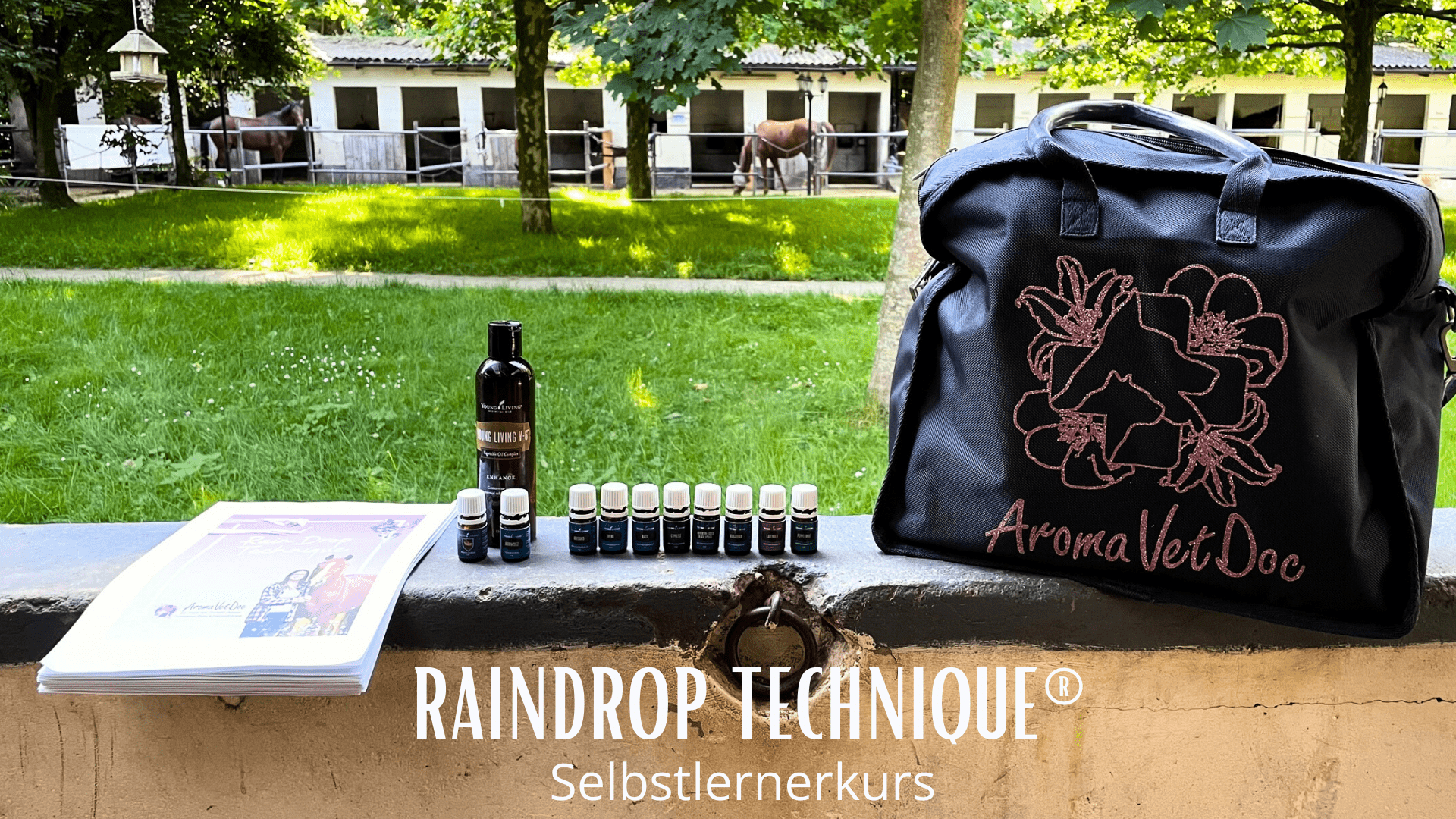 RainDrop Technique® für Pferde, Hunde und Katzen