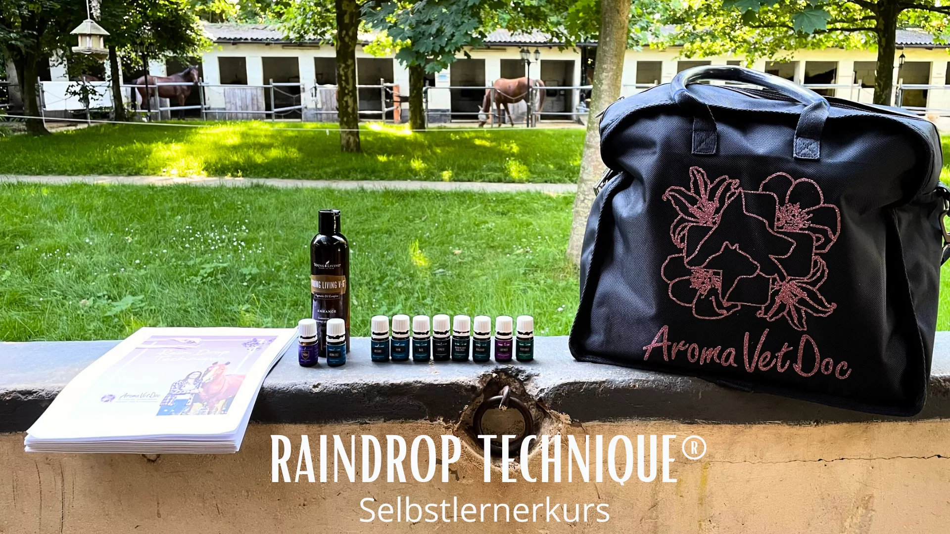 RainDrop Technique® für Pferde, Hunde und Katzen