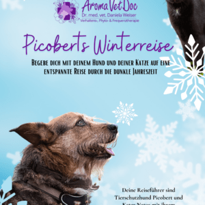 Buch inaktiver Adventskalender „Picoberts Winterreise“