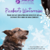 Picoberts Winterreise