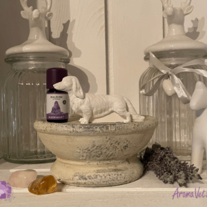 Dackel (passiv Diffusor)